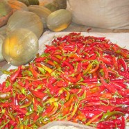 peperoncini