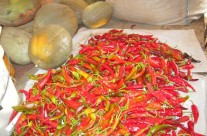 peperoncini