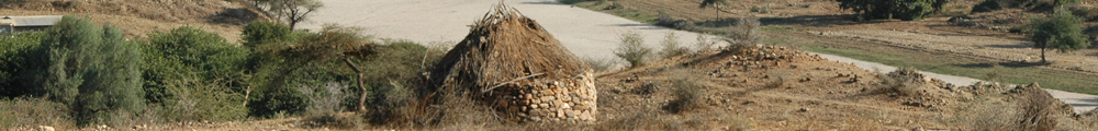 img-progetti2011