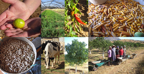 img-progetto-agricolo