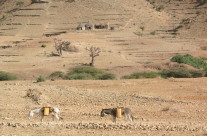 eritrea11