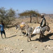 eritrea5