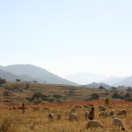 eritrea3