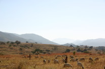 eritrea3